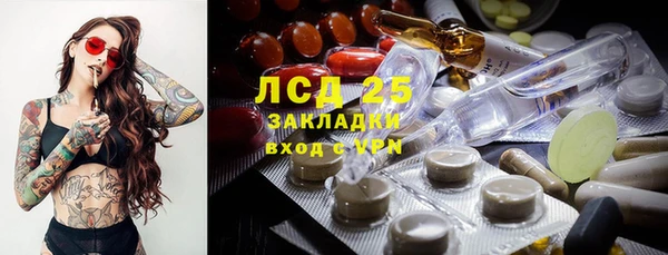 ПСИЛОЦИБИНОВЫЕ ГРИБЫ Бородино