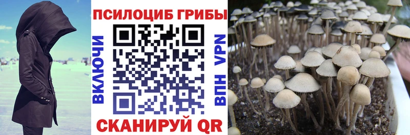 omg tor  Южно-Сухокумск  Галлюциногенные грибы ЛСД 